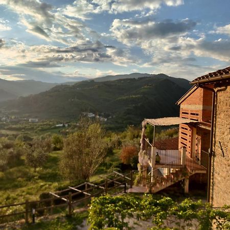Agriturismo La Fontaccia Rufina Εξωτερικό φωτογραφία