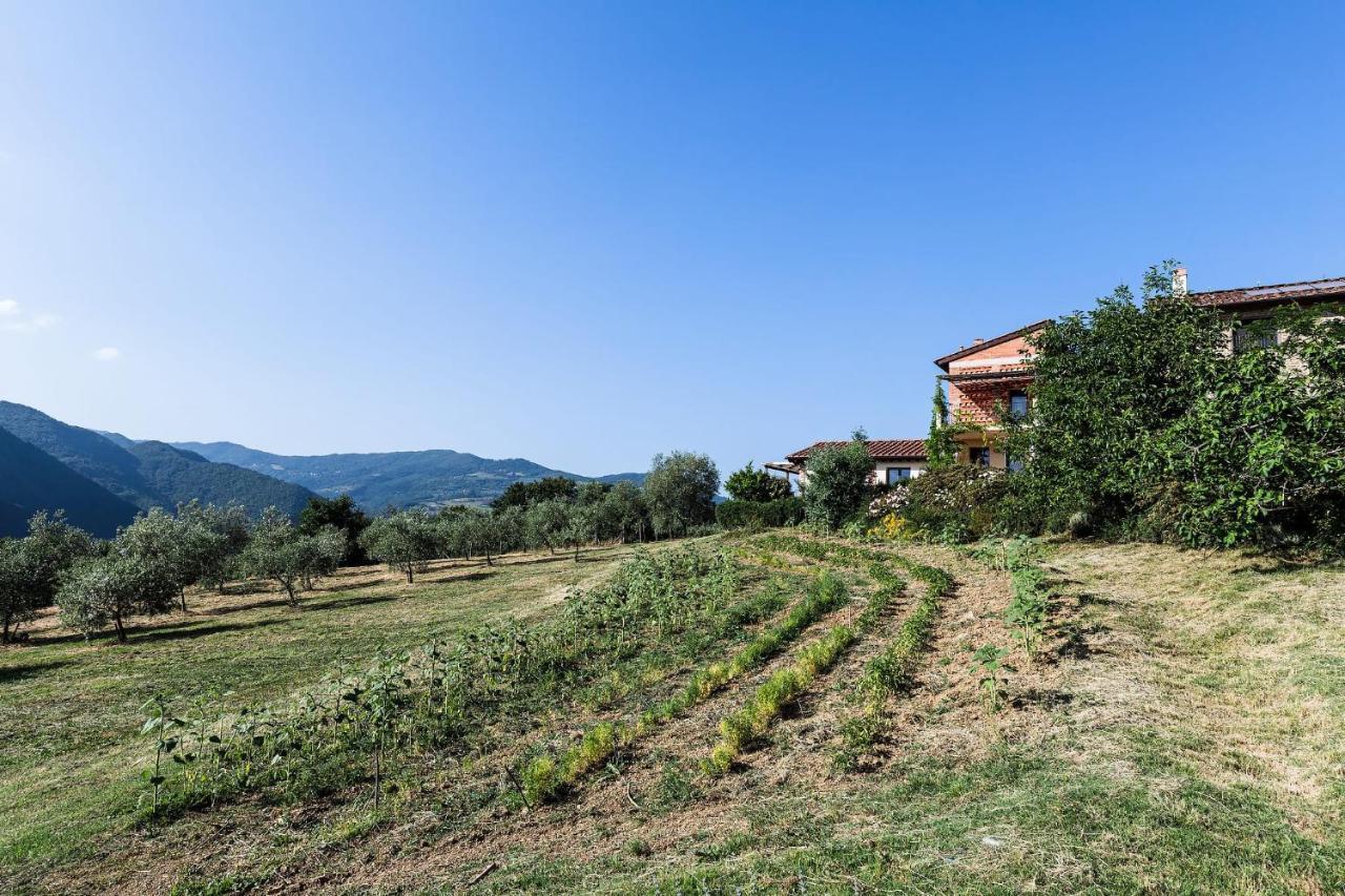 Agriturismo La Fontaccia Rufina Εξωτερικό φωτογραφία