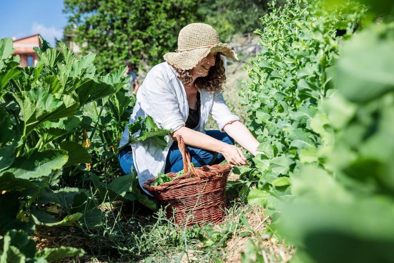 Agriturismo La Fontaccia Rufina Εξωτερικό φωτογραφία