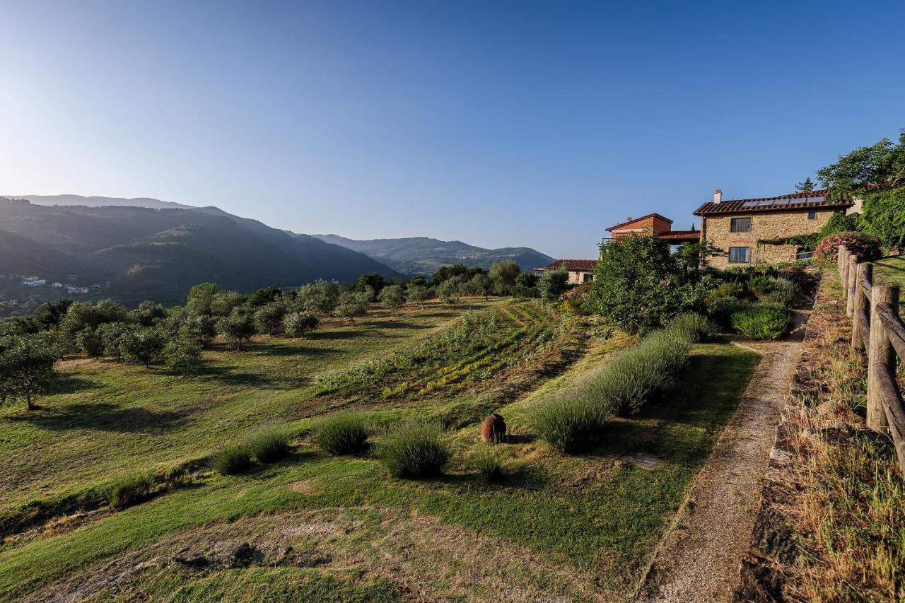 Agriturismo La Fontaccia Rufina Εξωτερικό φωτογραφία