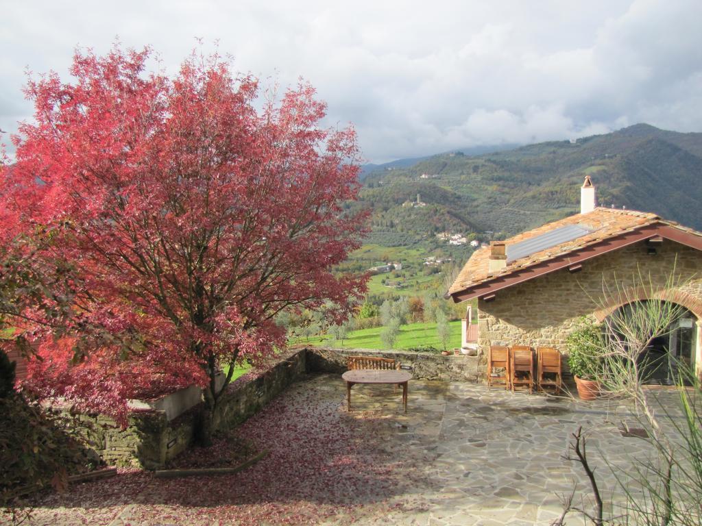 Agriturismo La Fontaccia Rufina Εξωτερικό φωτογραφία