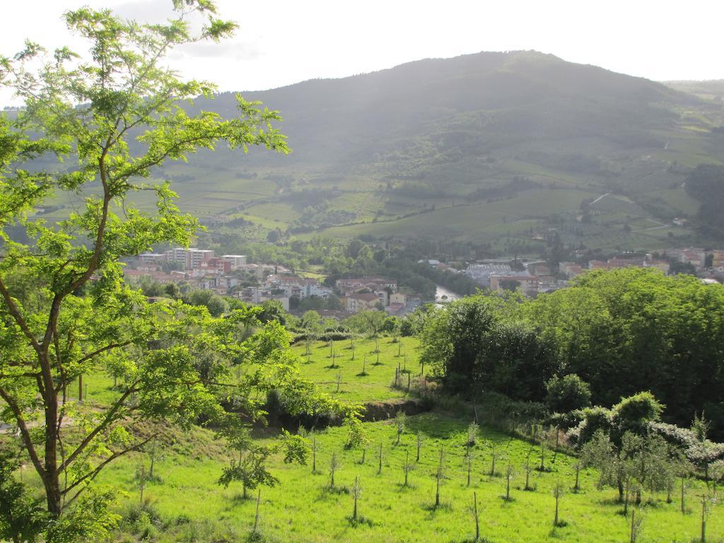 Agriturismo La Fontaccia Rufina Εξωτερικό φωτογραφία