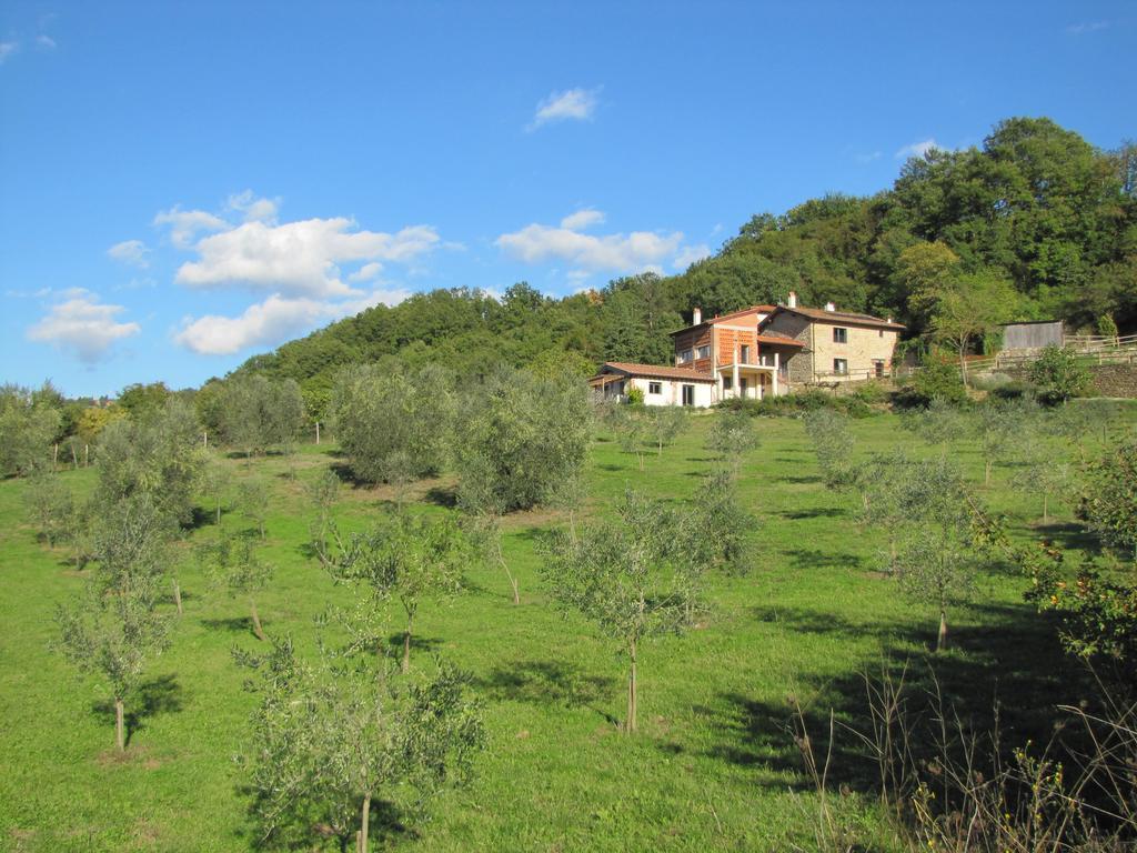Agriturismo La Fontaccia Rufina Εξωτερικό φωτογραφία