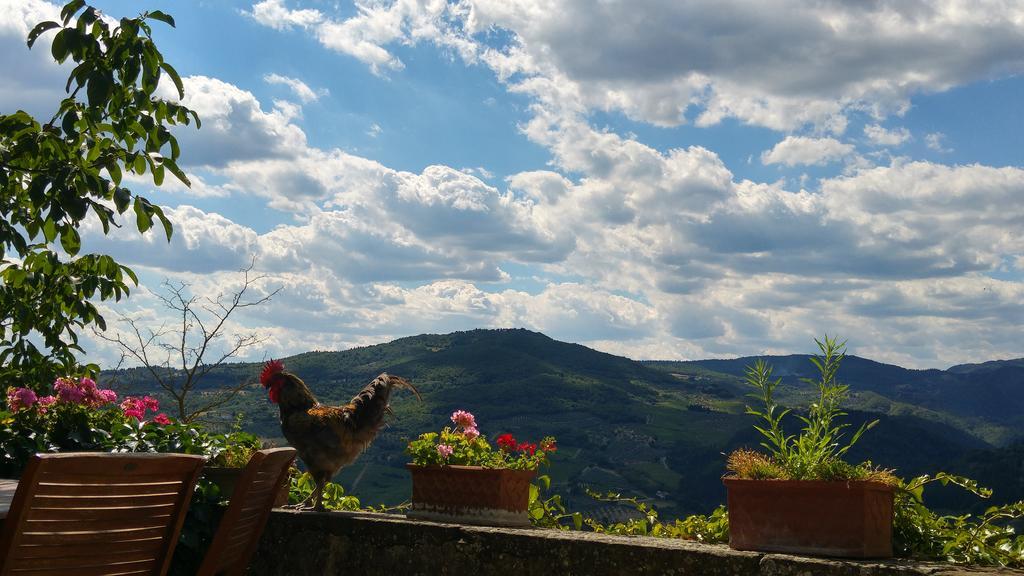 Agriturismo La Fontaccia Rufina Εξωτερικό φωτογραφία