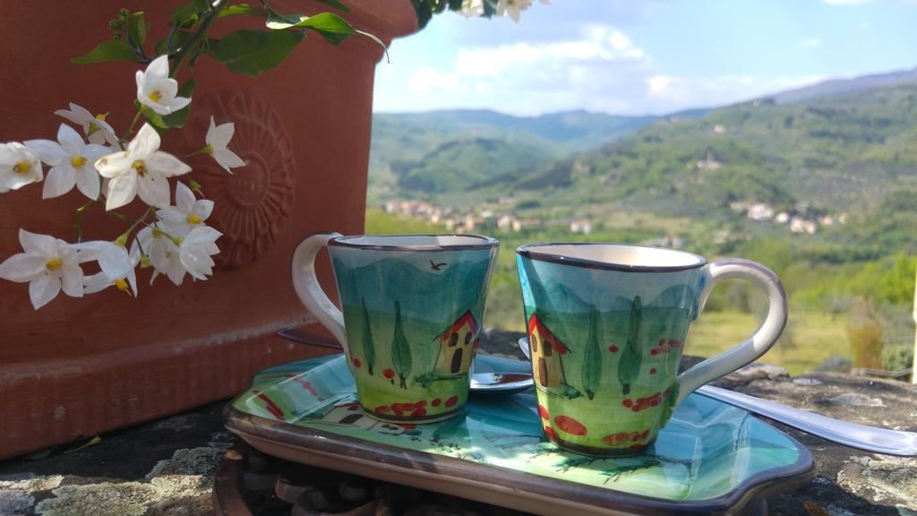 Agriturismo La Fontaccia Rufina Εξωτερικό φωτογραφία