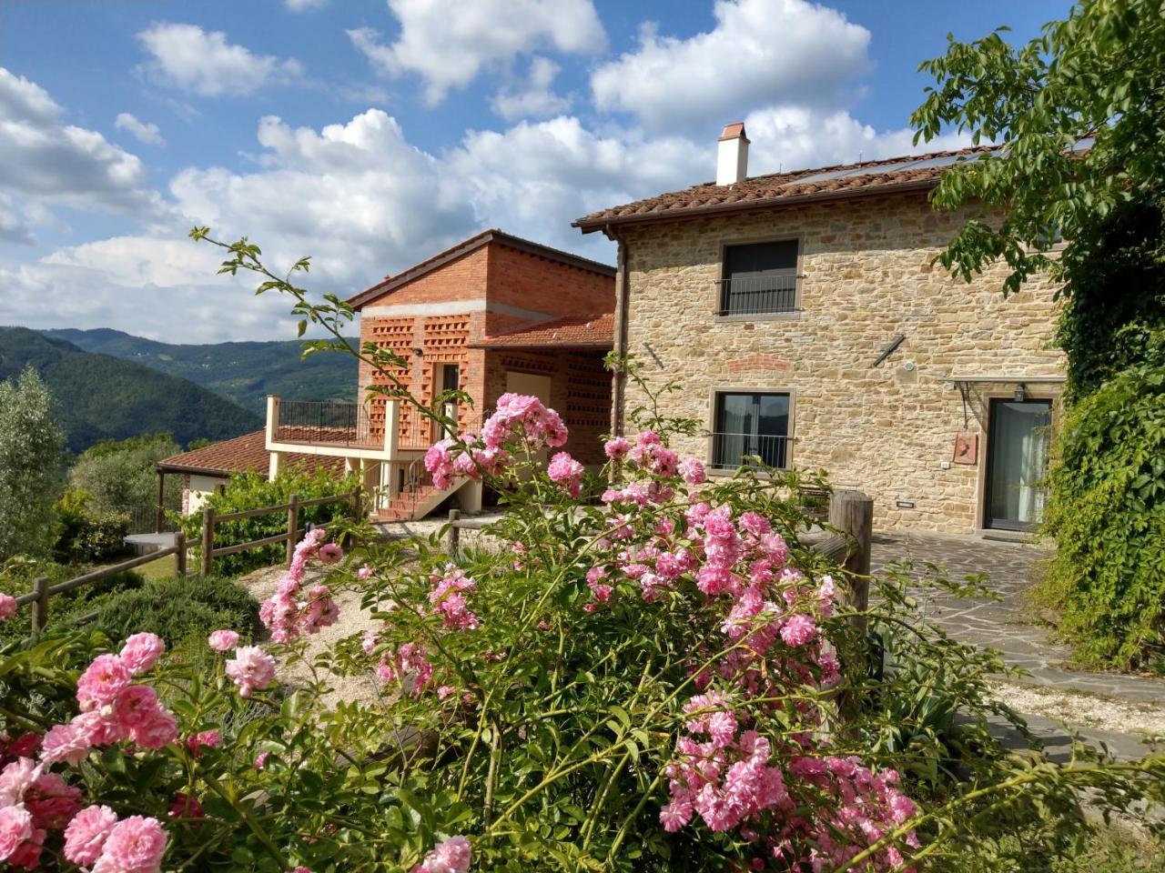 Agriturismo La Fontaccia Rufina Εξωτερικό φωτογραφία